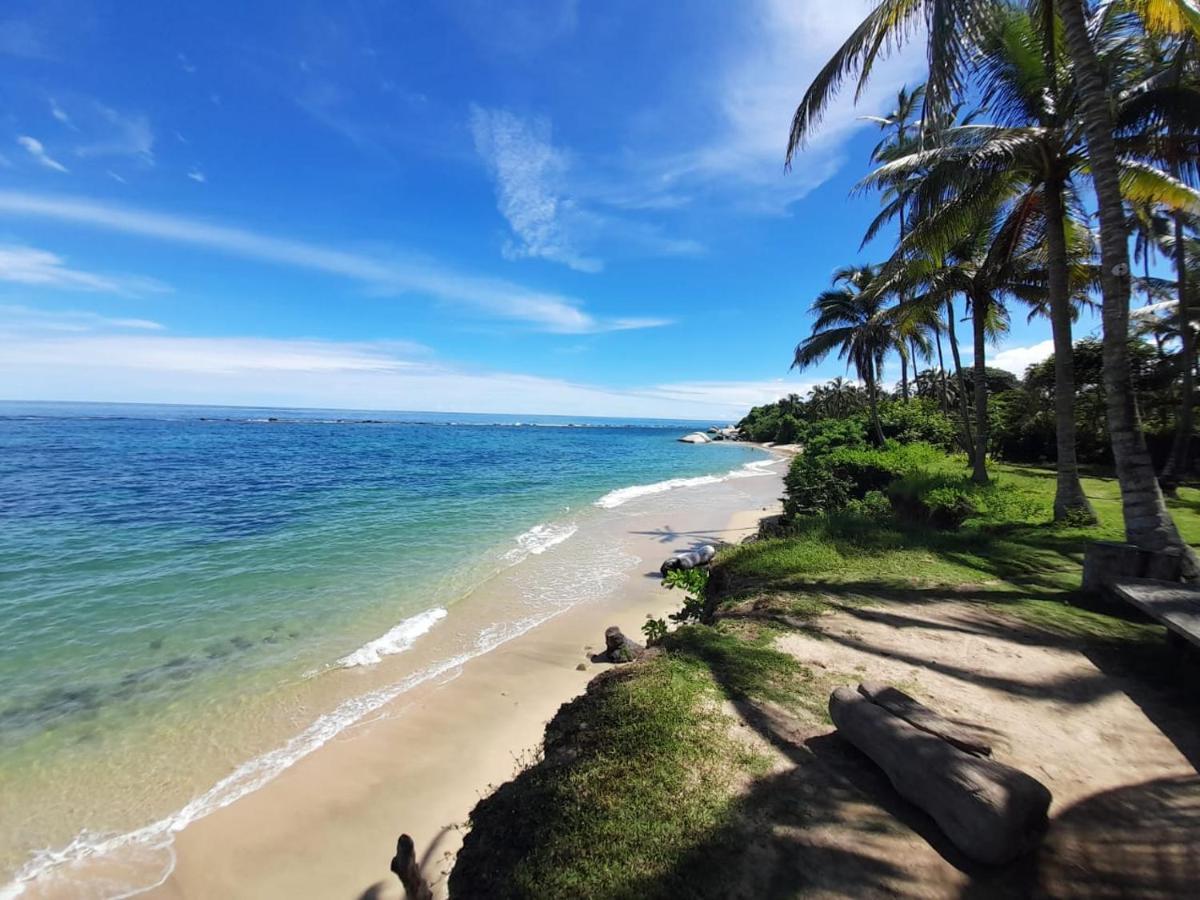 Magic Green Dentro Del Parque Tayrona El Zaino Dış mekan fotoğraf