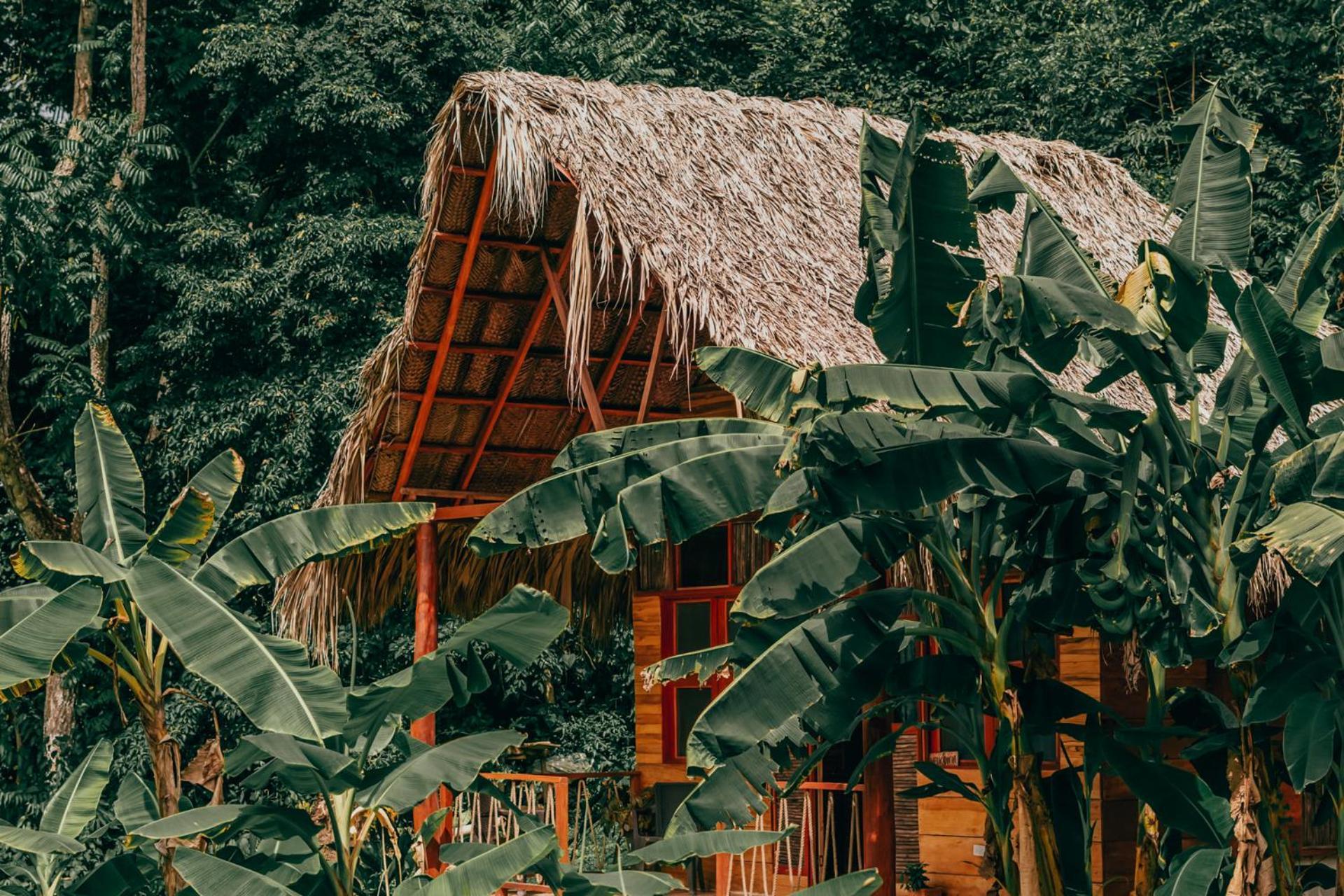 Magic Green Dentro Del Parque Tayrona El Zaino Dış mekan fotoğraf
