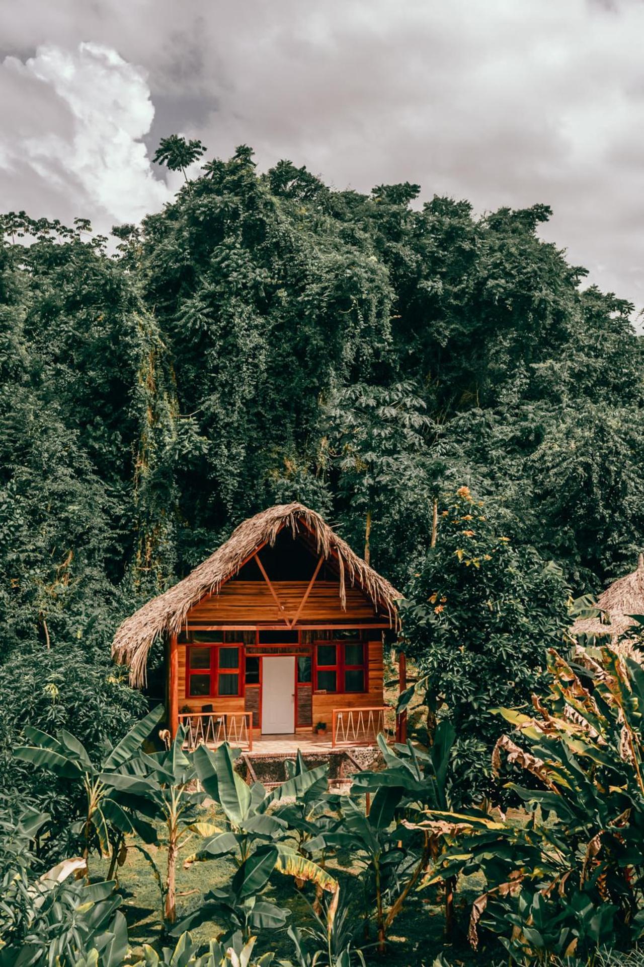 Magic Green Dentro Del Parque Tayrona El Zaino Dış mekan fotoğraf