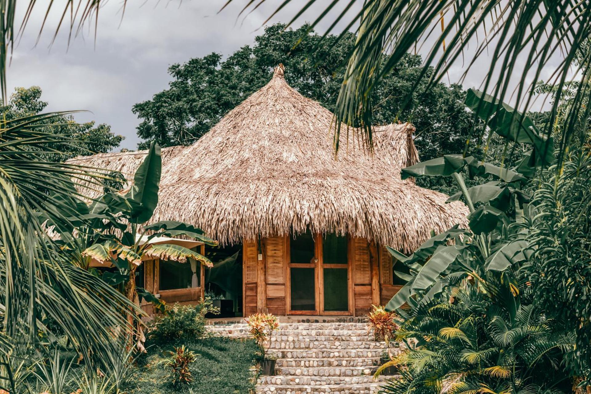 Magic Green Dentro Del Parque Tayrona El Zaino Dış mekan fotoğraf