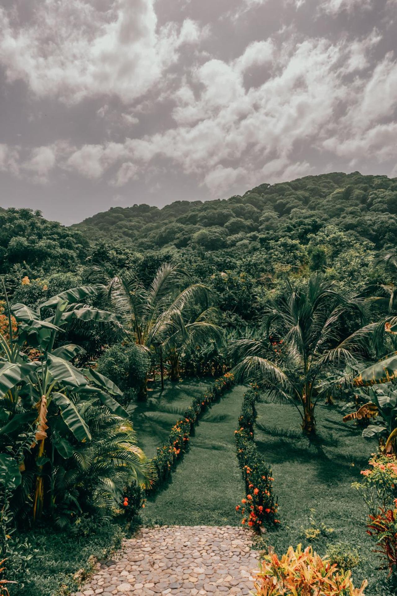 Magic Green Dentro Del Parque Tayrona El Zaino Dış mekan fotoğraf