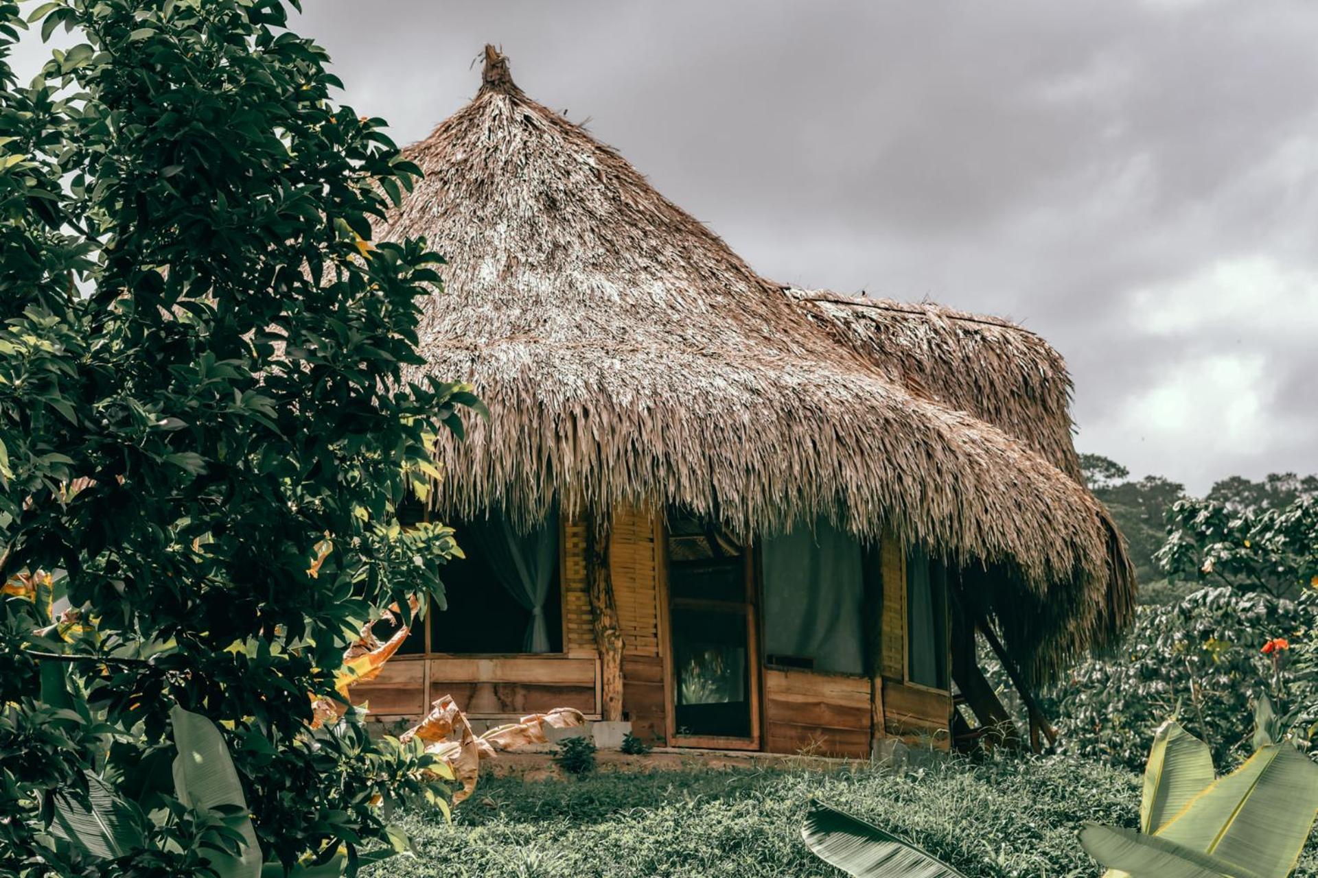 Magic Green Dentro Del Parque Tayrona El Zaino Dış mekan fotoğraf