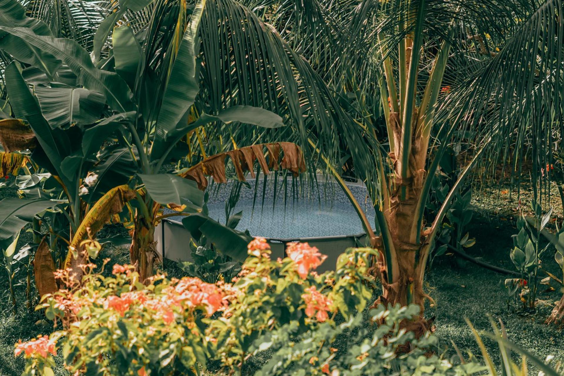 Magic Green Dentro Del Parque Tayrona El Zaino Dış mekan fotoğraf
